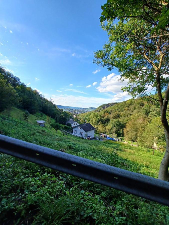 Ferienwohnung Neli Am Rhein Rheinbrohl Exteriör bild