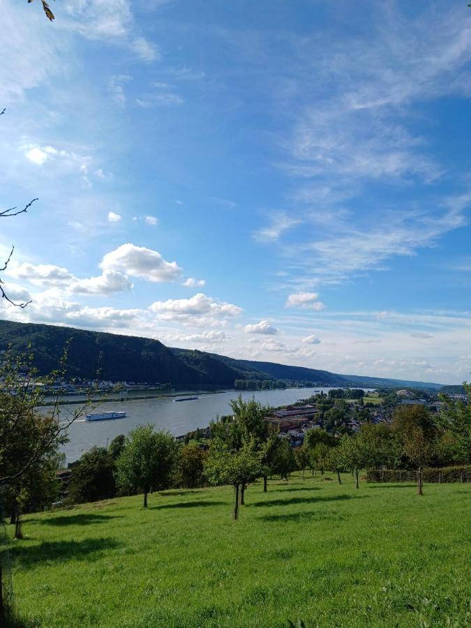 Ferienwohnung Neli Am Rhein Rheinbrohl Exteriör bild