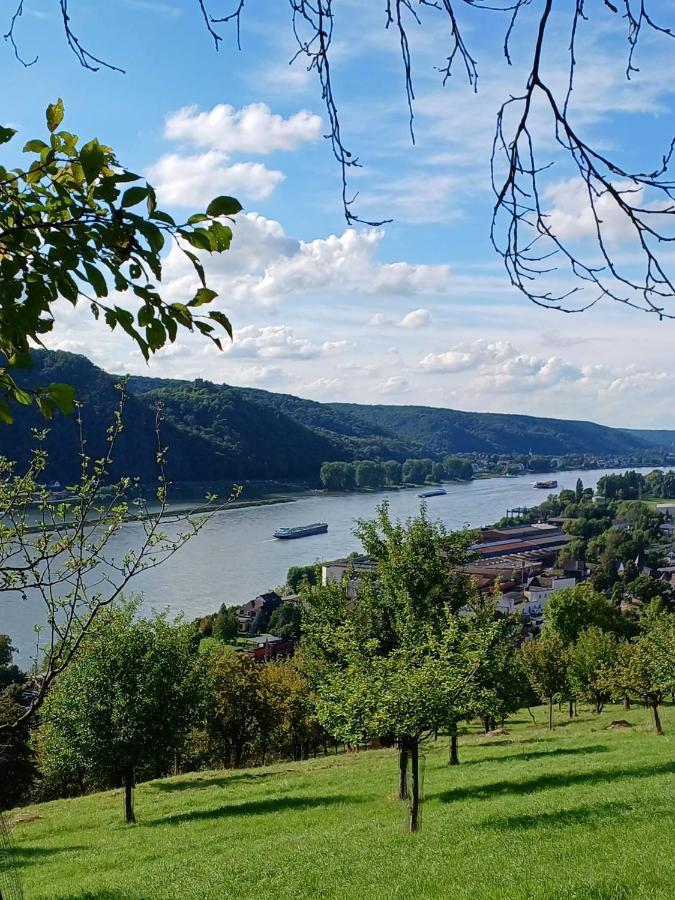 Ferienwohnung Neli Am Rhein Rheinbrohl Exteriör bild
